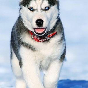 Meet your Posher, Edith